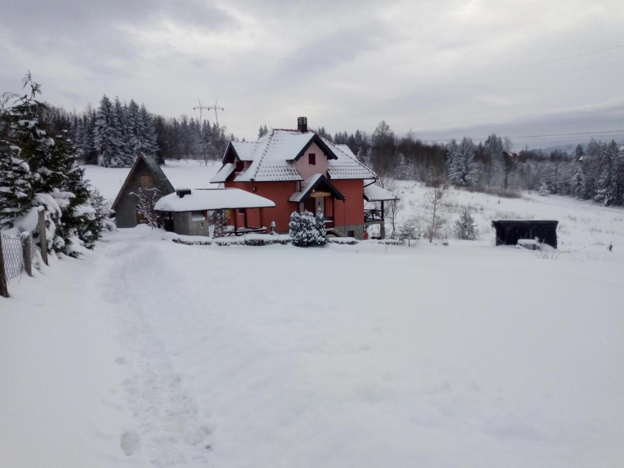 Vila Dodi Villa Bajina Basta Eksteriør bilde